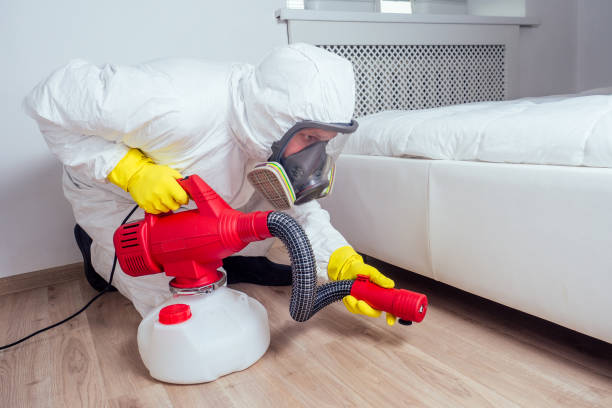 Best Pest Exclusion Services  in Belford, NJ